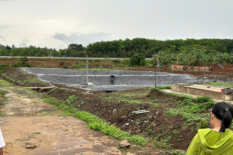 Bãi chôn lấp